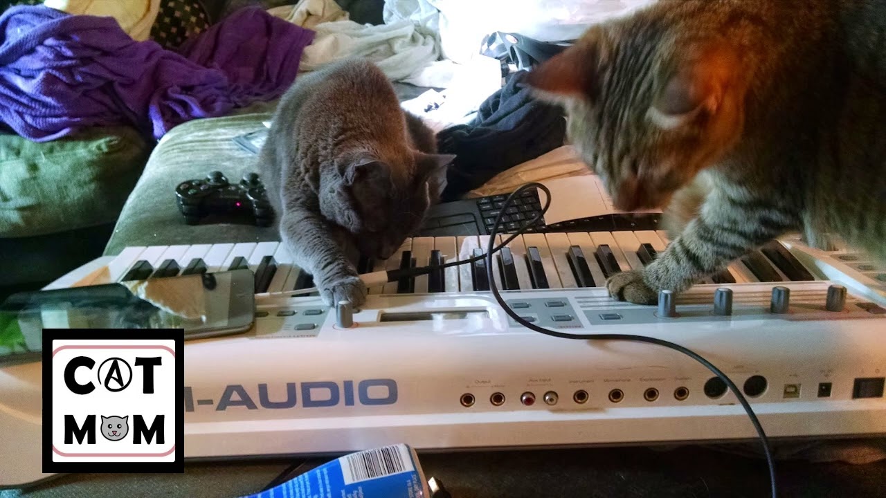 Country night (3 2 26 3 4)