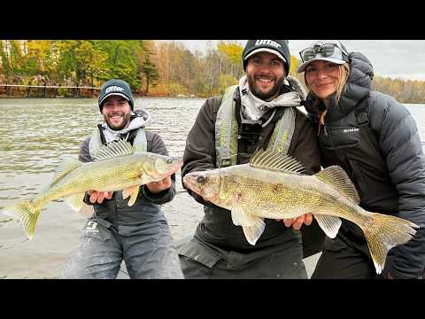 BIG Fall Walleyes Feeding Up in Superior, WI!