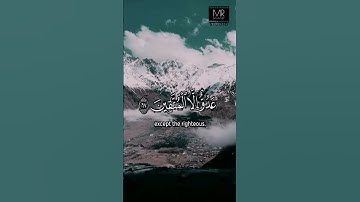 الاخلاء يومئذ بعضهم لبعض عدو الا المتقين 💙 الشيخ ماهر المعيقلى «تلاوة مميزة»