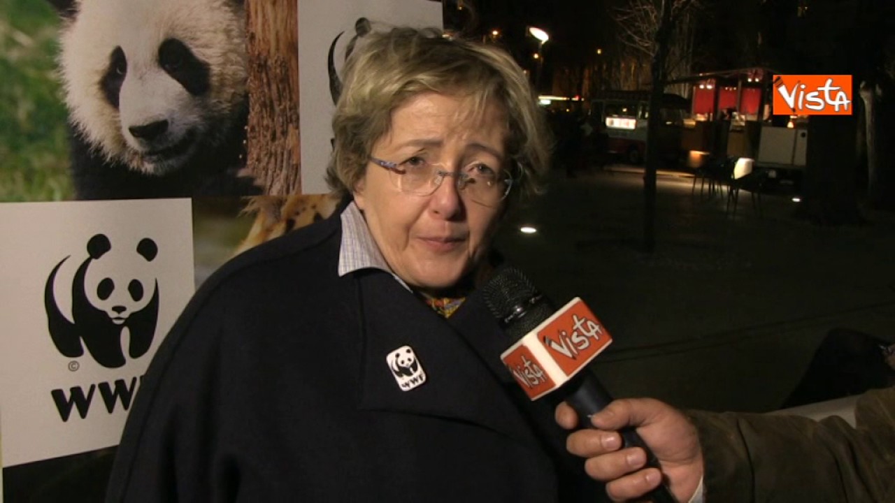 Maria Midulla Earth Hour 2017 - Maria Grazia Midulla Responsabile Clima ed Energia ...
