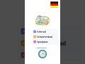✅ Was ist das? 🇩🇪 German Hobbies Quiz | A, B or C? #DeutschLernen