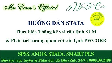 Hướng dẫn STATA | Thống kê với câu lệnh SUM & Phân tích tương quan với câu lệnh PWCORR 29032024