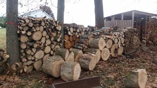 How Much Firewood Does It Take To Survive Winter?