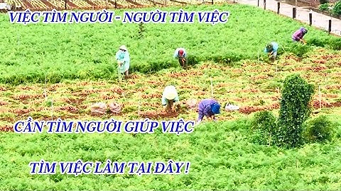 CẦN TÌM NGƯỜI GIÚP VIỆC - VIỆC TÌM NGƯỜI - TÌM VIỆC LÀM TẠI ĐÂY