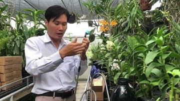 Bộ tưới bằng Pin được khách hàng mua nhiều nhất bên MAI HUY mình, sài rất sướng!