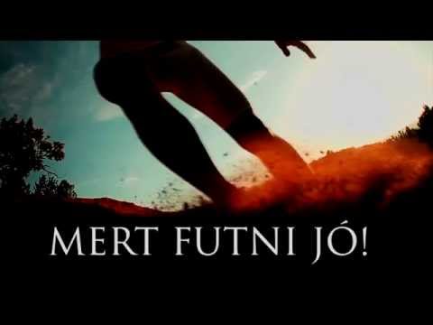 II. SZÉKESFEHÉRVÁRI SZERETETFUTÁS
