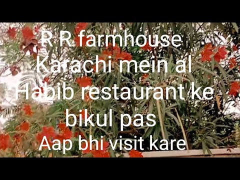 Saba Raza RR farmhouse vlog | saba raza vlogs - YouTube
