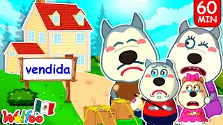 ¡WOLFOO COMPRA SU PRIMERA CASA! (Animación) | Dibujos animados | Wolfoo en español