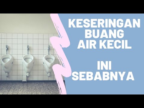 Video: Sulit, Sakit Dan Sering Buang Air Kecil Di Musang