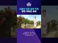 오늘도 더운 날씨 지속...강한 자외선 유의 #shorts (포항MBC뉴스)