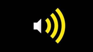 Duck quack   Sound Effect