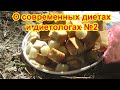 О современных диетах и диетологах №2. Программа питания