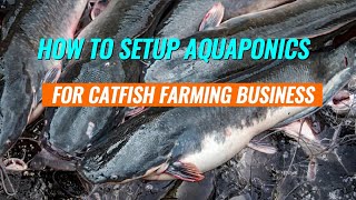 How This Aquaponics Pond Setup Can Save You Running Cost of Catfish Farming Business | #catfish
