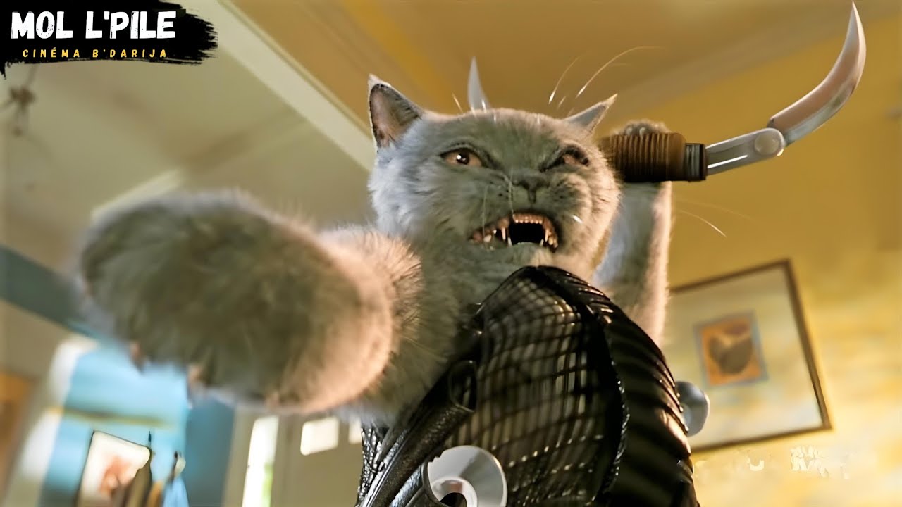 الكلاب تحارب القطط من أجل السيطرة على البشر😱 فمن سيفوز بالحرب ويتقرب من البشرية⁉️|| 🎦 𝐂𝐚𝐭𝐬 & 𝐃𝐨𝐠𝐬‎