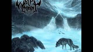 Wolfchant- Growing Storms