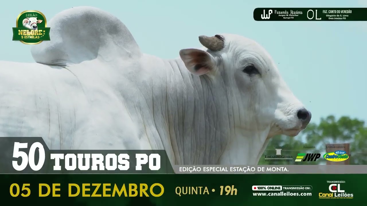 ⭐⭐⭐⭐⭐🐂       *50 Touros*     *Transmissão*: *www.canalleiloes.com*