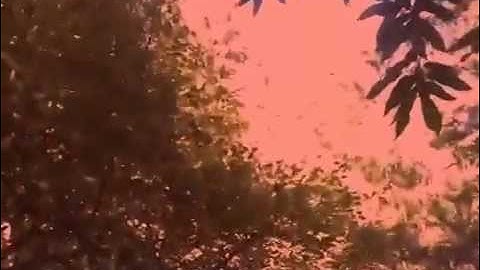 LOADING "See You Soon"