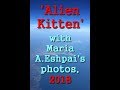 &#39;Alien Kitten&#39; - with Maria A.Eshpai&#39;s photos, 2018