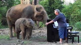 Piano 'Méditation de Thaïs' for Mother and Baby Elephant