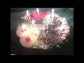 عيد ميلاد روكا برنسيسه الحزب الوطني الديمقراطي عيد ميلاد روكا برنسيسه الحزب الوطني الديمقراطي