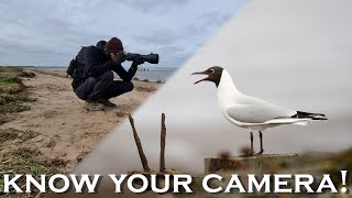 The importance of knowing your camera for Wildlife and Bird photography