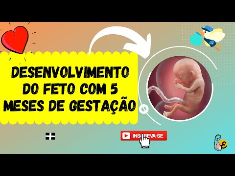 Vídeo: Como é o feto de 5 meses?