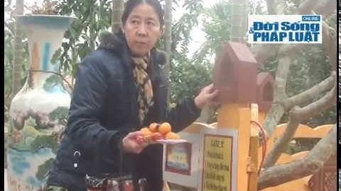 Cận cảnh ngôi mộ có khả năng chữa bệnh ở Hà Nội