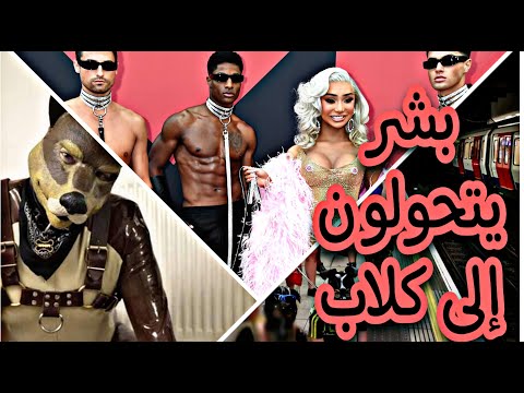 فيديو: الشيماء والغروب التلفزيون نجوم تغزو العالم مع Shenanigans سخيفة بهم