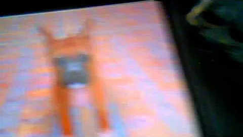 Nintendogs first puppy picking