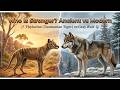 Thylacine vs Gray Wolf | Ancient vs Modern Predator Strength Comparison