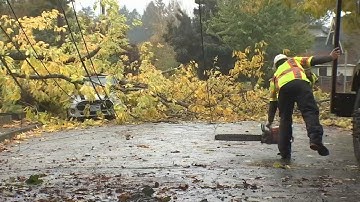 Heavy rain and wind brings down trees, knocks out power in Portland