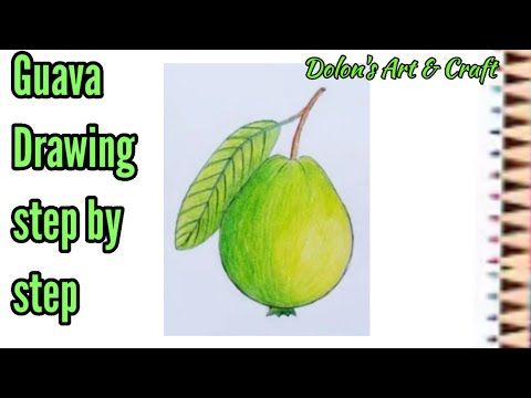 Discover 68+ guava drawing easy super hot