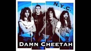 Without Your Love - Damn Cheetah (Melodic Hard Rock /ft. Les Brown of N.R.G.) Have you heard?