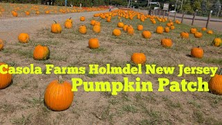 Walking around A Casola Farms in Holmdel New Jersey 2024