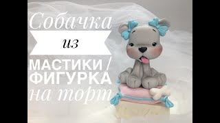 Собачка Няшка_Doggie cutie_Cachorro de babá