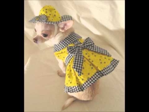 hacer vestidos perros - YouTube