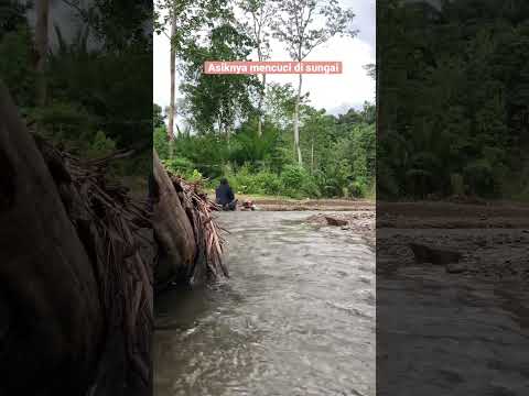 SUASANA  PAGI YANG INDAH DI DESA||mencuci pakaian di sungai