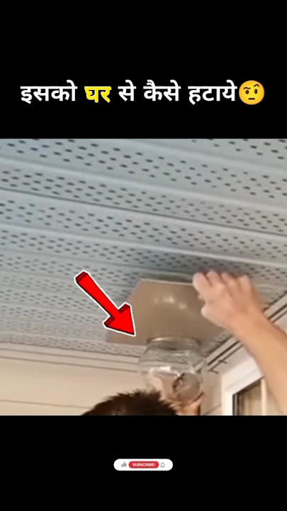 इसको घर से कैसे हटाए😳| Wasp Nest How Remove #fact #facts #shorts #viral #dailyfacts
