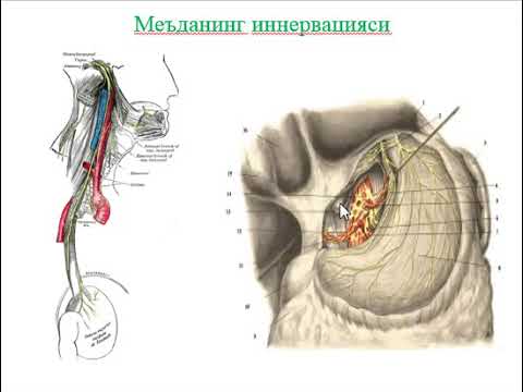 Video: Eozinofil oshqozon -ichak kasalliklari (EGID) diagnostikasining 3 usuli