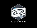 LUVOIR 15m and 8m Comparison and Details