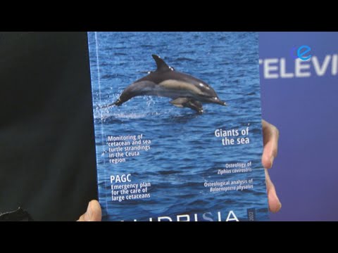 Alidrisia vuelve con el "maravilloso" pero "abandonado" litoral de Ceuta como protagonista