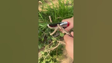 Professional Lopper Shear Pruner Set #LopperShear #GardeningTools #PrunerSet #GardenMaintenance