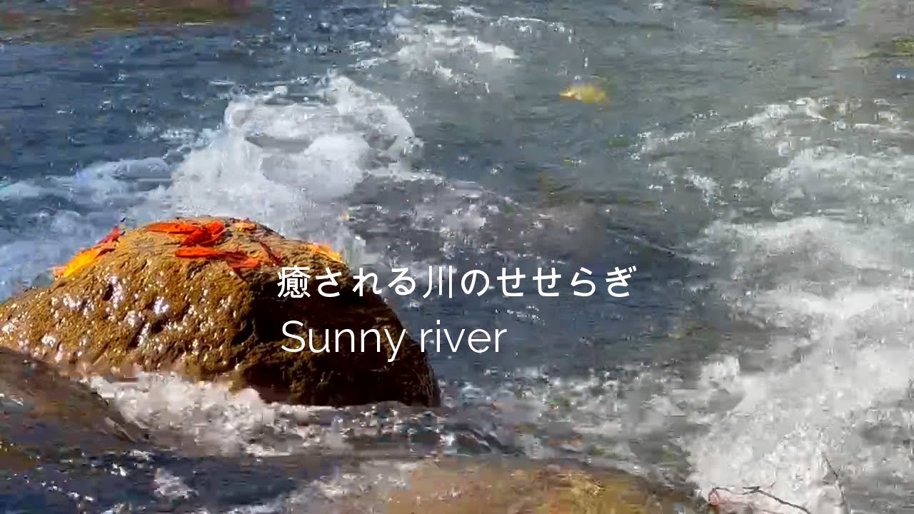 【癒しの川音】陽に煌めく川/せせらぎ音でリラックス/阿蘇南山麓・緑川/natural healing sound/Japan YouTube