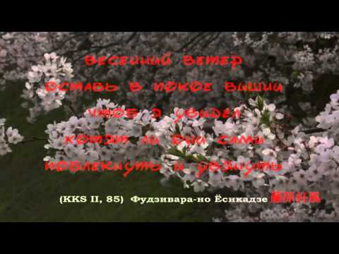 古今和歌集 / The Kokinshû. Spring Poems. Part II, 85 / Весенние песни. Сувий 2 (KKS II, 85)