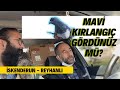 MAVİ KIRLANGIÇ GÖRDÜNÜZ MÜ ? BİR GARİPÇİ İLE YOLCULUK - REYHANLI #KGyollarda