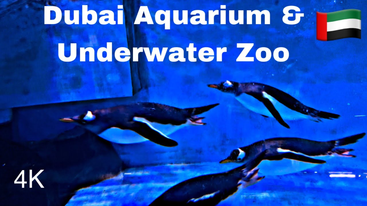 Exploring Dubai Aquarium & Underwater Zoo | 🇦🇪 UAE | Travel Vlog | 4K