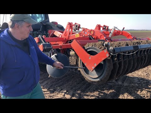 Videó: A napraforgó fertőtlenítheti a talajt?