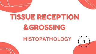 Histopathology part 2 | Tissue Receiption | Grossing