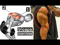 Tricep Exercises for Bigger Arms