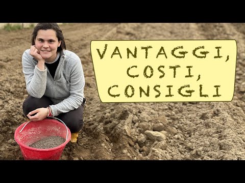 Video: Hai Bisogno Di Fertilizzanti Autunnali?